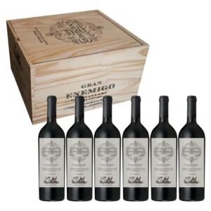Caja x6 Gran Enemigo Gualtallary Cabernet Franc