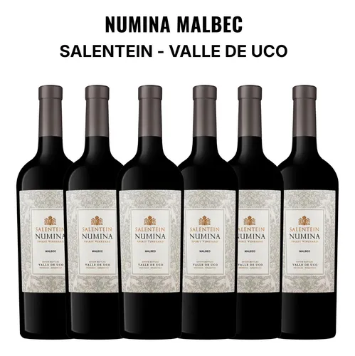 Caja x6 Salentein Numina Malbec